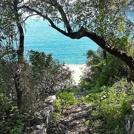 Matana ゲストハウス 3*