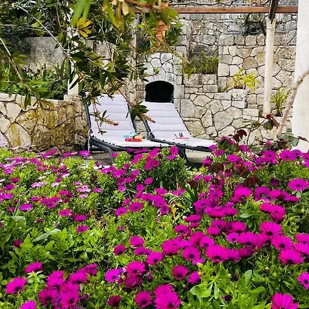Matana Guest house Sobra