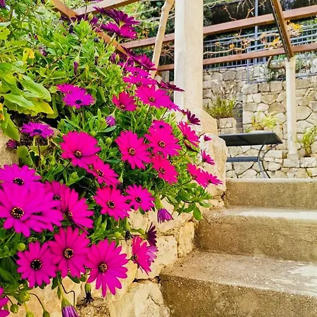 Matana ゲストハウス 3*