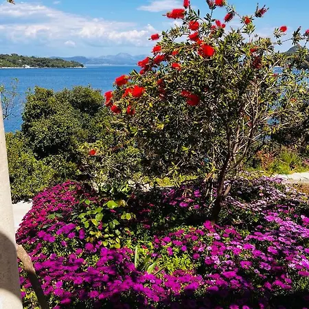 Matana Guest house