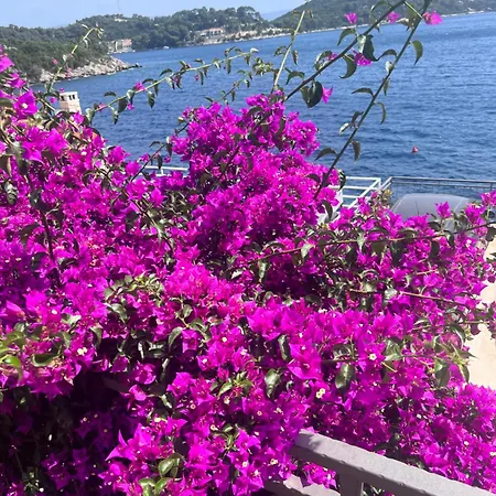 Matana ゲストハウス Sobra