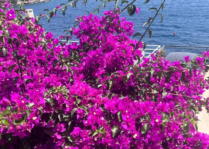 Matana Gæstehus Sobra